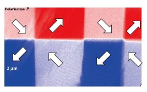 Real-space imaging of ferroelectric domains in Methylbenzimidazole ©Fumitaka Kagawa