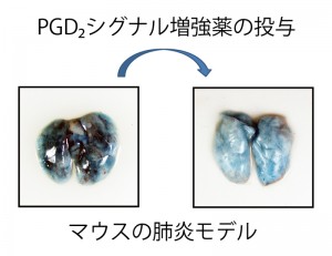 © 村田幸久 (東京大学大学院農学生命科学研究科)