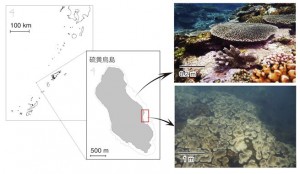 20130321_RI_s_fig1