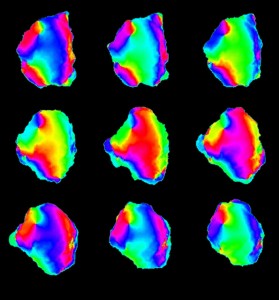 © Satoshi Sawai. Propagating waves of phosphatidylinositol (3,4,5)-trisphosphate (PIP3) in Dictyostelium cell membrane. Colors indicate extracted phase of periodic changes in PIP3 concentrations. Phase singularities are points in space where all colors neighbor one another. Outwardly propagating waves in a rotating spiral around the singularities initiate rotational membrane expansion.