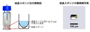 （図2）結晶スポンジ法の概要