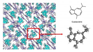 Figure 3: Orientation of a small molecule in the crystal lattice.