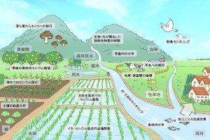 図1:多彩な調査研究のテーマ。 「農」に関する多彩なフィールドでグループ調査を進めている。セシウムについて、土壌への吸着動態のほか、土壌から作物への移行、野生動物や家畜の汚染状況、山からの流出やキノコ類による吸収、水田での除染法の試みなどを研究している。 (c) Riopopo 図1:多彩な調査研究のテーマ。 「農」に関する多彩なフィールドでグループ調査を進めている。セシウムについて、土壌への吸着動態のほか、土壌から作物への移行、野生動物や家畜の汚染状況、山からの流出やキノコ類による吸収、水田での除染法の試みなどを研究している。 (c) Riopopo