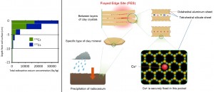 Figure 2: Cesium distribution in soil. Cesium has a tendency to be fixed in the layered crystalline structure of clay minerals. It was found that most cesium remains in the first 5 centimeters of soil below the surface. (c) University of Tokyo. Figure 2: Cesium distribution in soil. Cesium has a tendency to be fixed in the layered crystalline structure of clay minerals. It was found that most cesium remains in the first 5 centimeters of soil below the surface. (c) University of Tokyo.
