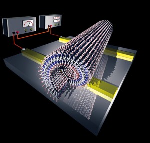 Figure 4: Self-assembled graphite nanotub. <