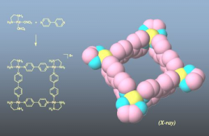 Figure 1: Square complex formed by self-assembly.