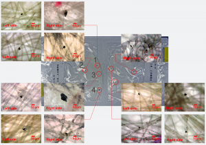 A composite image of the mask worn by a subject on the first day of the first week (March 2 to 3, 2012), its radiocesium distribution, and its microscope image.