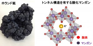 （左）自然に豊富に存在するマンガン鉱物（ホランド鉱）の主成分である酸化マンガンを人工マンガン触媒として用い、プロトン移動が誘起可能な塩基の存在下、水の酸化反応を行った。（右）酸化マンガンは、構造の真ん中がトンネルのように空いた構造（トンネル構造）を有する。