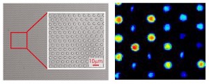 Measurement of membrane transport activity using novel lipid membrane chip. (Left) Image of novel lipid membrane chip. (Right) Measurement of transport activity using a fluorescent indicator. The fluorescence intensity difference depends on activity level.