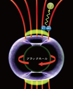 IC310 において観測された短時間の激しい高エネルギーガンマ線の強度変化は、高速度で回転する巨大ブラックホール極冠付近の磁気圏に、電位ギャップが生成され、その電位差を使い電子、陽電子が加速されガンマ線が放射されたとして説明できる。