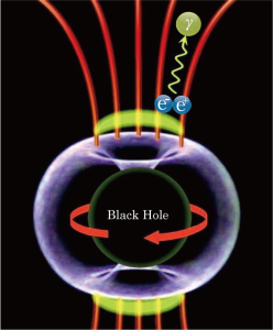 Credit: The MAGIC Collaboration The observed rapid variation in gamma rays from radio galaxy IC310 is thought to be due to the presence around the rapidly rotating supermassive black hole of a magnetosphere with polar vacuum gap regions where the electric fields accelerate electrons and positrons to ultra-relativistic energies thereby emitting gamma rays.