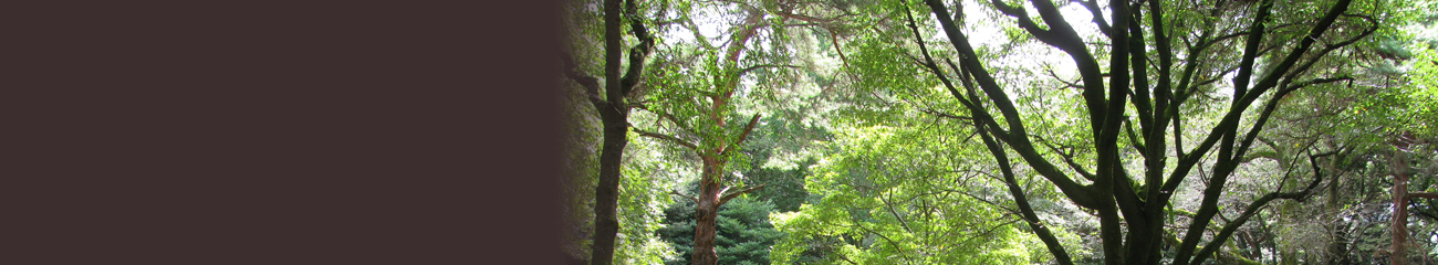 访问东京大学