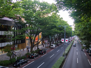 Omotesando Street