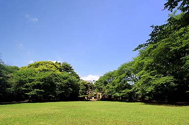 Komaba Park
