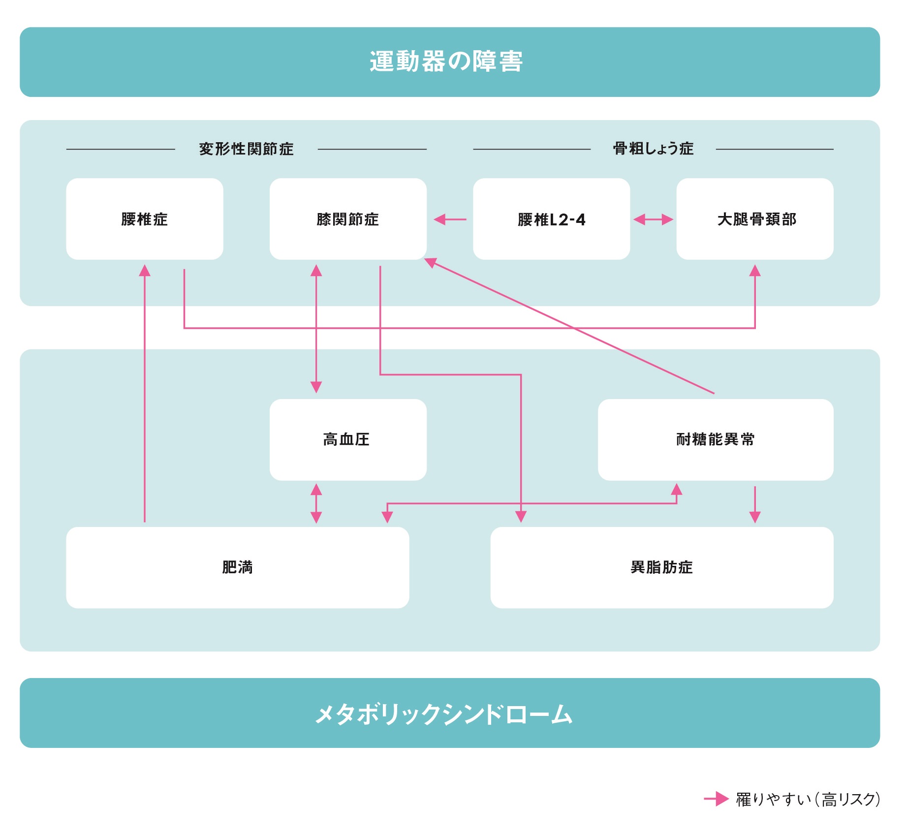 図3：運動器の障害とメタボリックシンドロームとの関連を示す概念図。矢印が結ぶ2つの疾患や症状には、一方を有していると他方が発生しやすくなるという関係がある。さまざまな要因が複雑に絡み合って、互いの疾病を誘発し合っている。（Yoshimura N, et al: Mod Rheumatol. 2014 Nov 20:1-11. [Epub ahead of print] より）