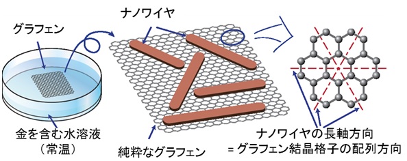 図1　本研究の概要