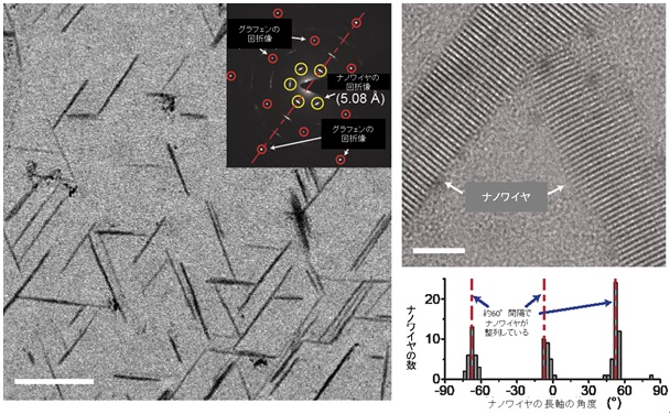 図2　自己組織化されたグラフェンの整列の様子