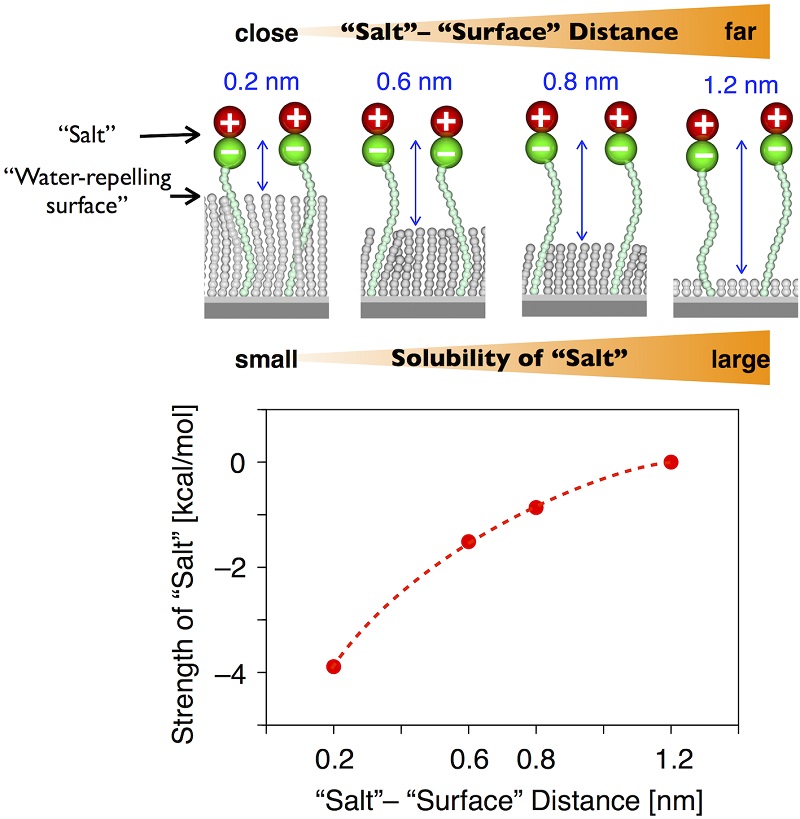 Salt and a water-repelling surface © 2015 Yoshimitsu Itoh, Takuzo Aida.Water near a water-repelling surface is less likely to dissolve salts.