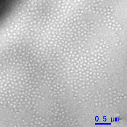 Figure 3. Direct observation of skyrmions<br>In a world-first, Tokura’s research group successfully observed individual skyrmions using a specialized electron microscope. © 2015 X.Z. Yu and Y. Tokura. Figure 3. Direct observation of skyrmions<br>In a world-first, Tokura’s research group successfully observed individual skyrmions using a specialized electron microscope. © 2015 X.Z. Yu and Y. Tokura.