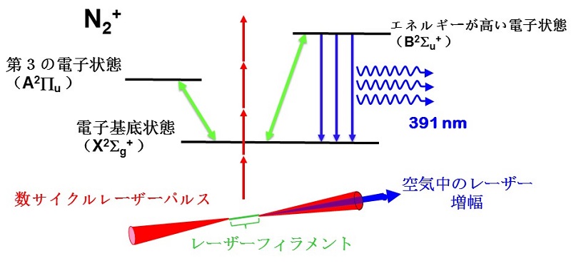 レーザーが空気中で増幅される機構 © 2015 Kaoru Yamanouchi.数サイクルレーザーパルスを集光することによって誘起したフィラメントと3つの電子状態間の相互作用によってレーザーが空気中で増幅される機構を示した模式図。