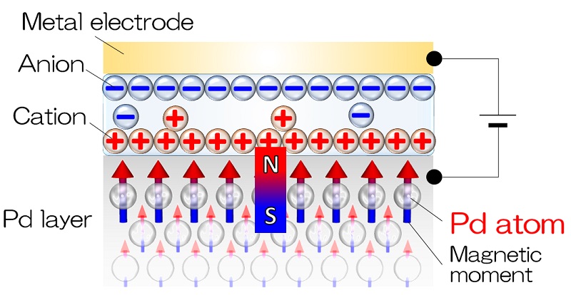 Induced magnetic moment in palladium (Pd) by application of voltage © 2015 Chiba Lab.One possible mechanism to explain the increased magnetic moment is that, when a voltage is applied to the structure shown in the figure, charges within the palladium layer accumulate near the surface because the surface is covered by ions.