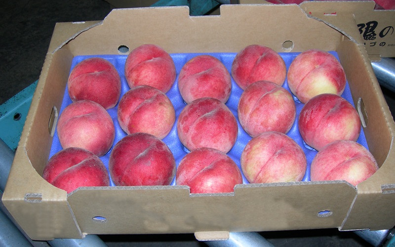 © 2015 Mariko Fujisawa et al.Kazuno is located in the region that is climatically northernmost. The farmers have captured a niche in the mass market by shipping good quality peaches late in the season, when shipments from other producers are at an end. 
