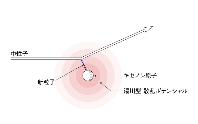 © 2015 東京大学新粒子が作る湯川型散乱ポテンシャルによって、中性子とキセノン原子が散乱する様子の概念図。