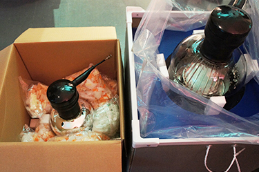 The outer detector 20 cm-diameter (left) and inner detector 50 cm-diameter (right) photomultiplier tubes