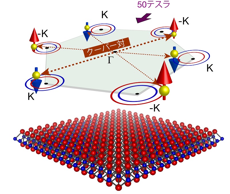 MoS2電界誘起超伝導において面直方向に固定された電子対 © 2015 斎藤 優対をなした電子は、面内の対称性の破れに起因する約200テスラの内部有効磁場によって、層に垂直な方向に固定されているため、層に平行な方向の外部磁場(約50 テスラ)を加えてもその超伝導状態は維持される(下図)。波数空間での電子対の様子を示したもの。結晶構造の対称性から六角形の波数領域で電子対をなす(上図)。
