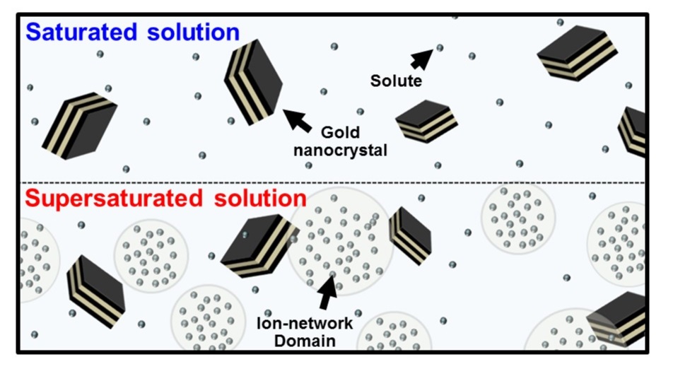 An illustration of single-molecule imaging by DXT © 2015 Yuji Sasaki.Schematic drawing of DXT measurement. Dots indicate the dissolved solute and the circles that surrounded dots express ion networks.