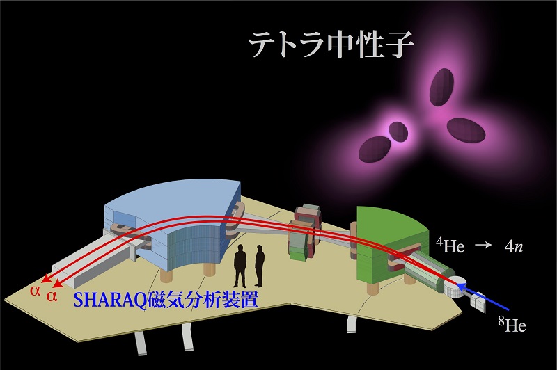 © 2016 Keiichi Kisamori.テトラ中性子核内の4個の中性子の分布の想像図と実験に用いられたSHARAQ磁気分析装置。