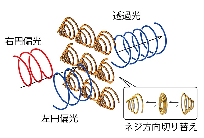 らせん構造による円偏光切り替え素子 © 2016 Tetsuo Kan.変形可能な金属の渦巻き構造を縦横に多数配列し たメタマテリアルに光を入れると、変更状態が変化します。このとき、らせんの向きを変えることで、透過する偏光状態を右円偏光と左円偏光を切り替えることができるようになりました。