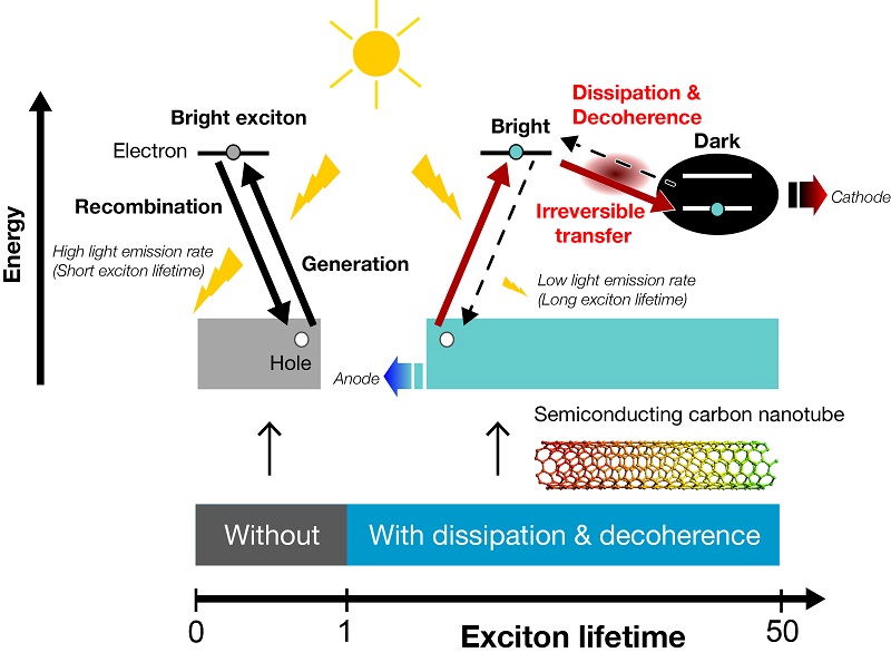 Energy dissipation and decoherence utilized for the better efficiency in photovoltaics © 2016 Yasuhiro Yamada, Youhei Yamaji, and Masatoshi Imada.A small amount of energy dissipation associated with decoherence causes the exciton to irreversibly changes excitons into a “dark” state in which they cannot emit photons. In the case of a semiconductor carbon nanotube, this phenomenon results in a nearly 50-fold increase in exciton lifetime.