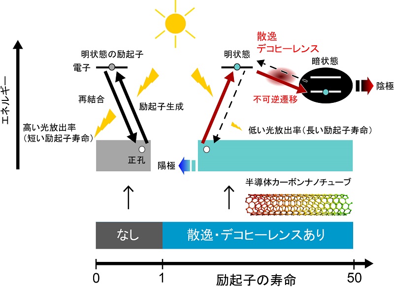 © 2016 Yasuhiro Yamada, Youhei Yamaji, and Masatoshi Imada.デコヒーレンスを伴う少量のエネルギー散逸は、励起子を発光する状態から発光しない“暗い”状態への不可逆的な変化を引き起こします。この現象によって、半導体のカーボンナノチューブの場合、励起子の寿命は50倍近く伸びることがわかりました。
