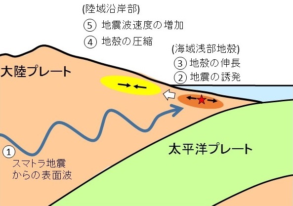 地殻内で起きた地震活動などの連鎖的な変化 © 2016 小原一成スマトラ地震によって浅い正断層型の地震が誘発され、地殻が引き伸ばされた結果、内陸側に圧縮の力が生じ、それが地殻の変形や地震波の速度を速めた。