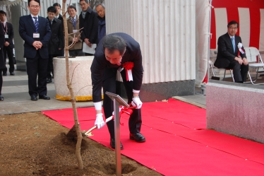 Director Kajita planting the Chinese Pistache tree