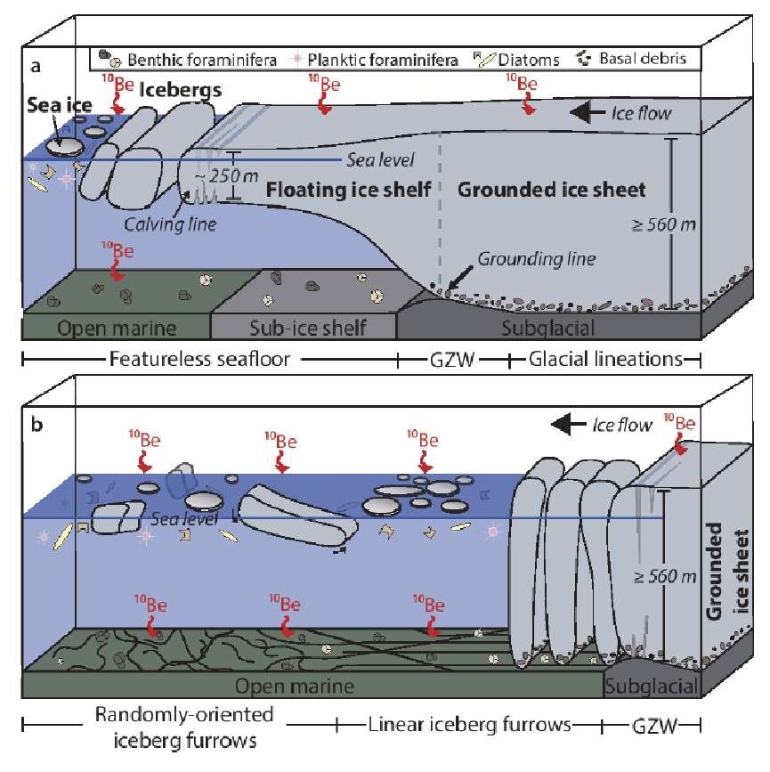Schematic of Ross ice sheet expansion at maximum and after of collapse © 2016 Yusuke Yokoyama.The existence of the ice shelf restricted the movement of the Antarctic ice sheet at the upstream end, but the flow rate increased after the collapse of the ice shelf. Further evidence for this model is found in sea bed morphology and the sea-floor accumulation of plankton and radionuclides produced by cosmic rays impacting the ocean.