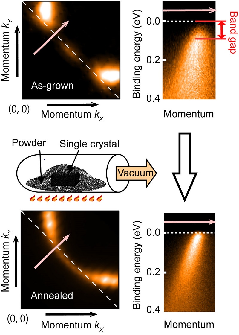 Changes in electronic structure induced by reduction annealing © 2016 Masafumi Horio.Top: Fermi surface (contour surface of electron energy) before reduction annealing (left) and band dispersion in direction of arrow (right). A band gap, that is, an energy region where electrons do not exist, opens due to antiferromagnetism. Bottom: Fermi surface of reduction-annealed sample (left) and band dispersion in direction of arrow (right). The influence of antiferromagnetism was eliminated and the band gap disappeared.