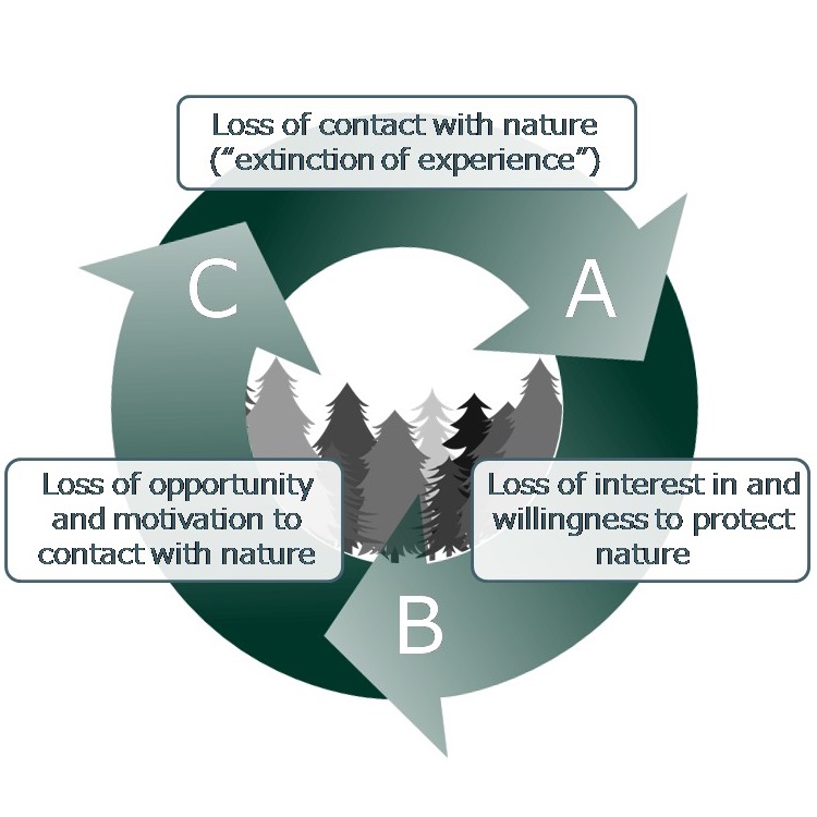 Causes and consequences of loss of human-nature interactions © 2016 Masashi Soga.The loss of interaction with nature (extinction of experience) not only diminishes a wide range of benefits relating to health and well-being, but also discourages positive emotions, attitudes, and behavior with regard to the environment (A). These consequences of extinction of experience can decrease opportunity and orientation to experience nature (B), implying a cycle of disaffection toward nature (C).
