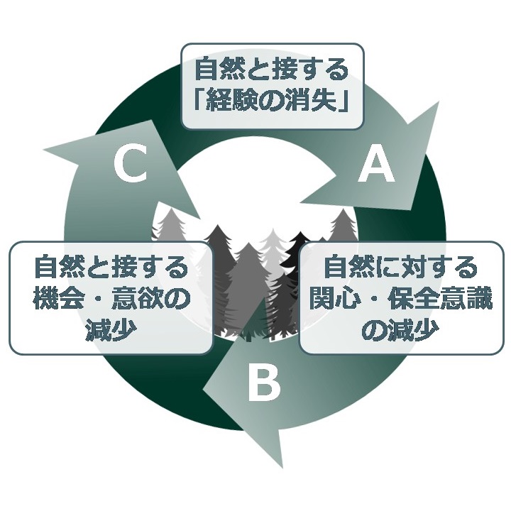 社会の自然離れが進む概念図 © 2016 曽我 昌史自然と接する「経験の消失」は私達の健康や生活の質を劣化させるだけでなく、社会の自然に対する興味や関心、保全意識を大きく低下させます(矢印A)。こうした自然に対する関心や保全意識の低下は、自然と接する機会や意欲の更なる減少につながる恐れがあり(矢印B)、社会の自然離れには負の連鎖が存在することが予想されます(矢印C)。