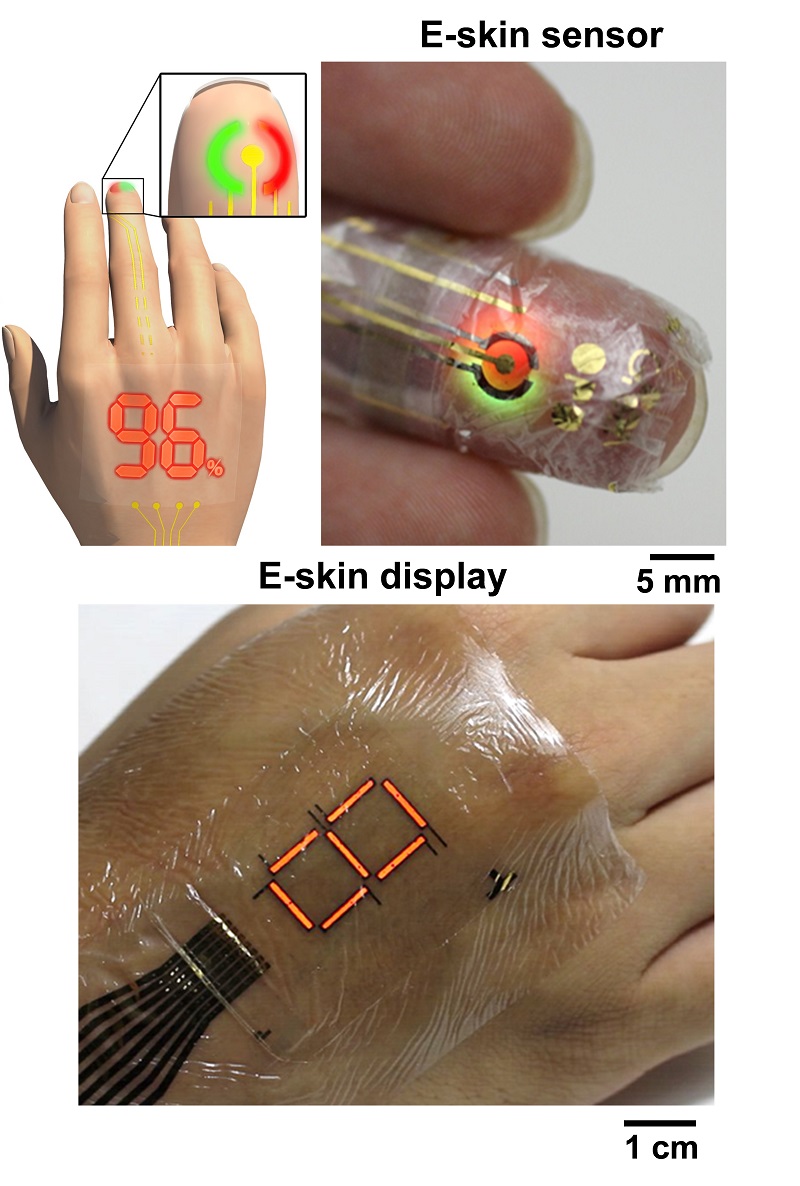 © 2016 東京大学 染谷研究室血中の酸素濃度をモニターするシステムの概要。（右上）指に赤と緑の高分子発光ダイオード（PLED）からの発せされた光を当てます。指の内側で反射した光は超柔軟な有機光検出器が捉えます。この反射光を用いて血中の酸素濃度と脈拍数を測定します。（下）センサーが測定した結果は、PLEDディスプレーに表示することができます。
