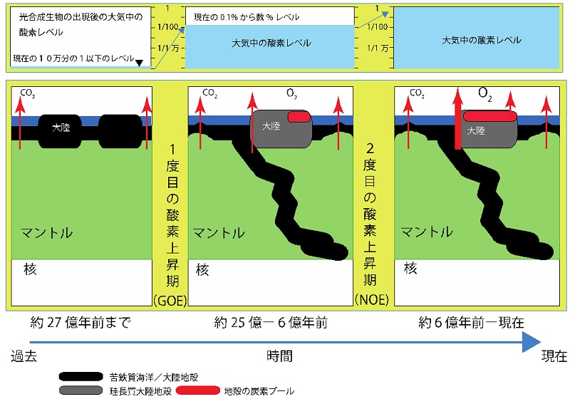 2度の大気の酸素濃度が上昇する仕組みとその背後にあるプレートテクトニクス・大陸成長 © 2016 横山祐典およそ25億年前の最初の酸素濃度の上昇は、光合成生物が地球上に現れてから数億年遅れて、現在型のプレートテクトニクスが開始したことで、酸素を捕獲する物質に乏しい大陸が作られ始めたために起きました。2度目は大陸が成長し、炭素が表層にたまる場所が増えしたことで起こりました。
