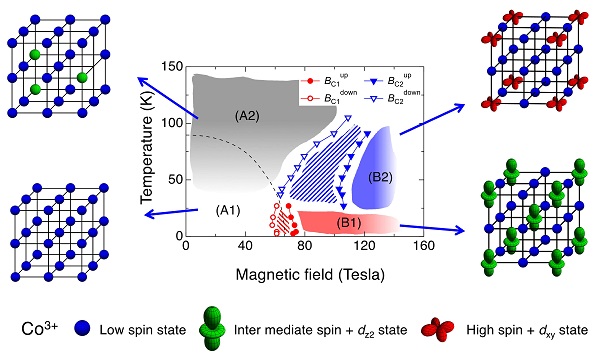 Magnetic field and temperature phase diagram of LaCoO3 clarified up to over 100 T, and the expected spatial pattern of the spin state ordering. © 2016 Akihiko Ikeda.At the low temperature and low magnetic field (bottom left), all cobalt ions are in the low spin (LS) state. With increasing temperature, intermediate spin (IS) or high spin (HS) states are randomly occupied (top left). By applying the strong magnetic field over 100 T, the occupation number of IS and HS states increases and are expected to become spatially ordered (top right). It is also expected that the orbital states accompanying the IS or HS states are also spatially ordered. With decreasing temperature, another spatial order of spin states and orbital states is expected to emerge (bottom right).