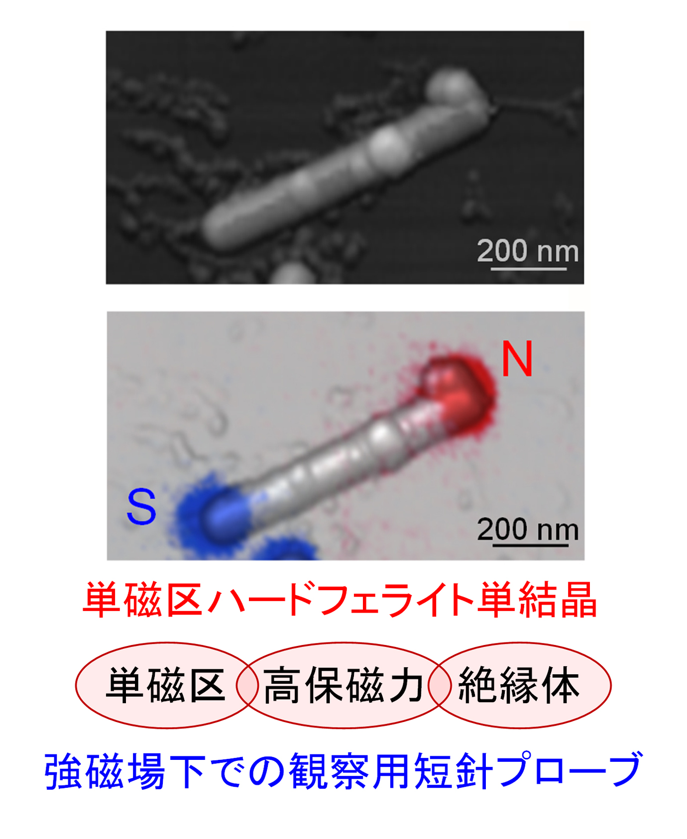 磁場に強く、電流も流れない、錆びない理想的なフェライト棒磁石からなる磁気力顕微鏡(MFM)のプローブ © 2016 Shin-ichi Ohkoshi今回合成したε-Fe2O3フェライト棒磁石の原子間力顕微鏡像(左上図)と磁気力顕微鏡像(左下図)。これらの画像から、フェライト棒磁石の両端にN極とS極が存在することがわかりました。この単磁区構造の棒磁石を用いた短針プローブの特性は、強い磁場における磁気力顕微鏡観察を可能にすると期待されます(右図)。