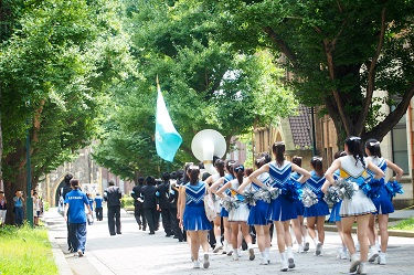 Advancing through the dark green of the ginkgo tree-lined street