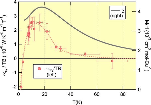 The temperature dependence found in thermal Hall conductivity and spin susceptibility of the kagomé volborthite © 2016 Minoru Yamashita.These graphs illustrate the temperature dependence of the thermal Hall conductivity, normalized by the temperature and the magnetic field (pink circle; left units), and that of the magnetic susceptibility (gray line; right units). The spin liquid state is formed below the peak temperature of the magnetic susceptibility. The maximum of the thermal Hall conductivity is also observed around the peak temperature, implying a strong connection between the formation of the spin liquid and the thermal Hall conductivity.