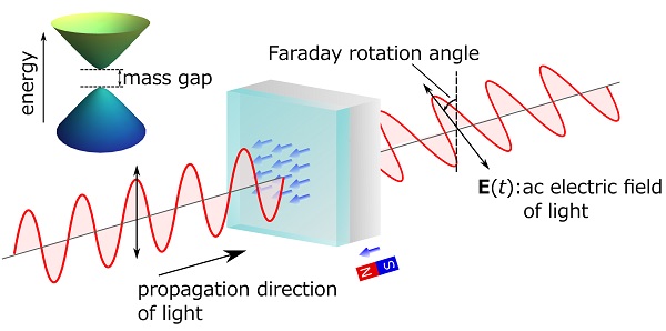 Schematic rendering of the quantized magneto-optical effect on a topological insulator © 2016 Ken N. Okada.When magnetic properties are embedded in a topological insulator by adding magnetic elements (blue arrow), an energy gap (mass gap) is created in the electrons on the surface. Then the quantum anomalous Hall effect, in which the Hall resistance shows a quantized value without application of magnetic field, appears. At this point, the Faraday and Kerr effects for terahertz light, with energy well below the mass gap, show rotation angles as defined by the fine structure constant. The image illustrates the polarization rotation generated by the Faraday effect.