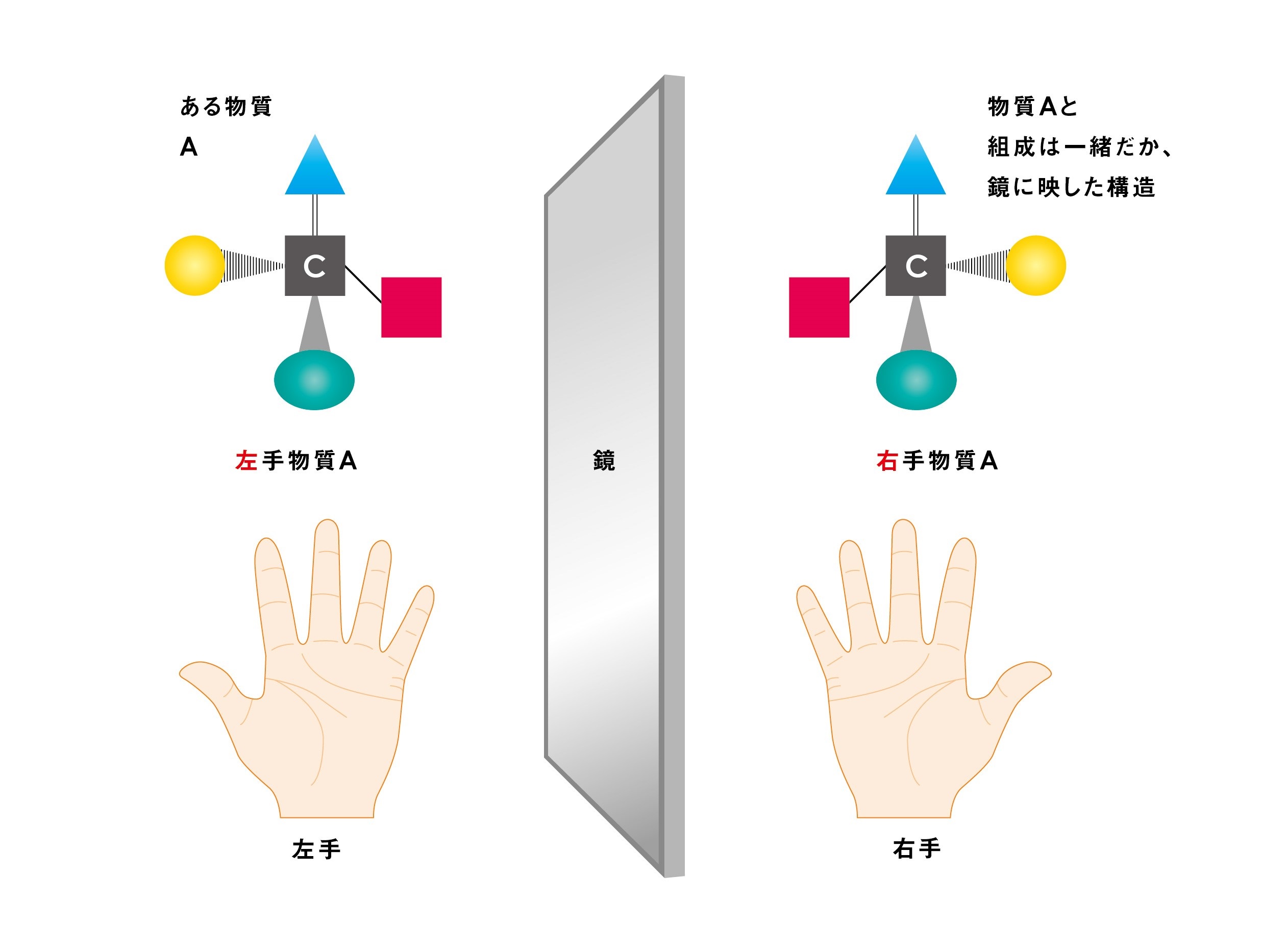 図1：左手物質と右手物質 CREDIT: 東京大学.
