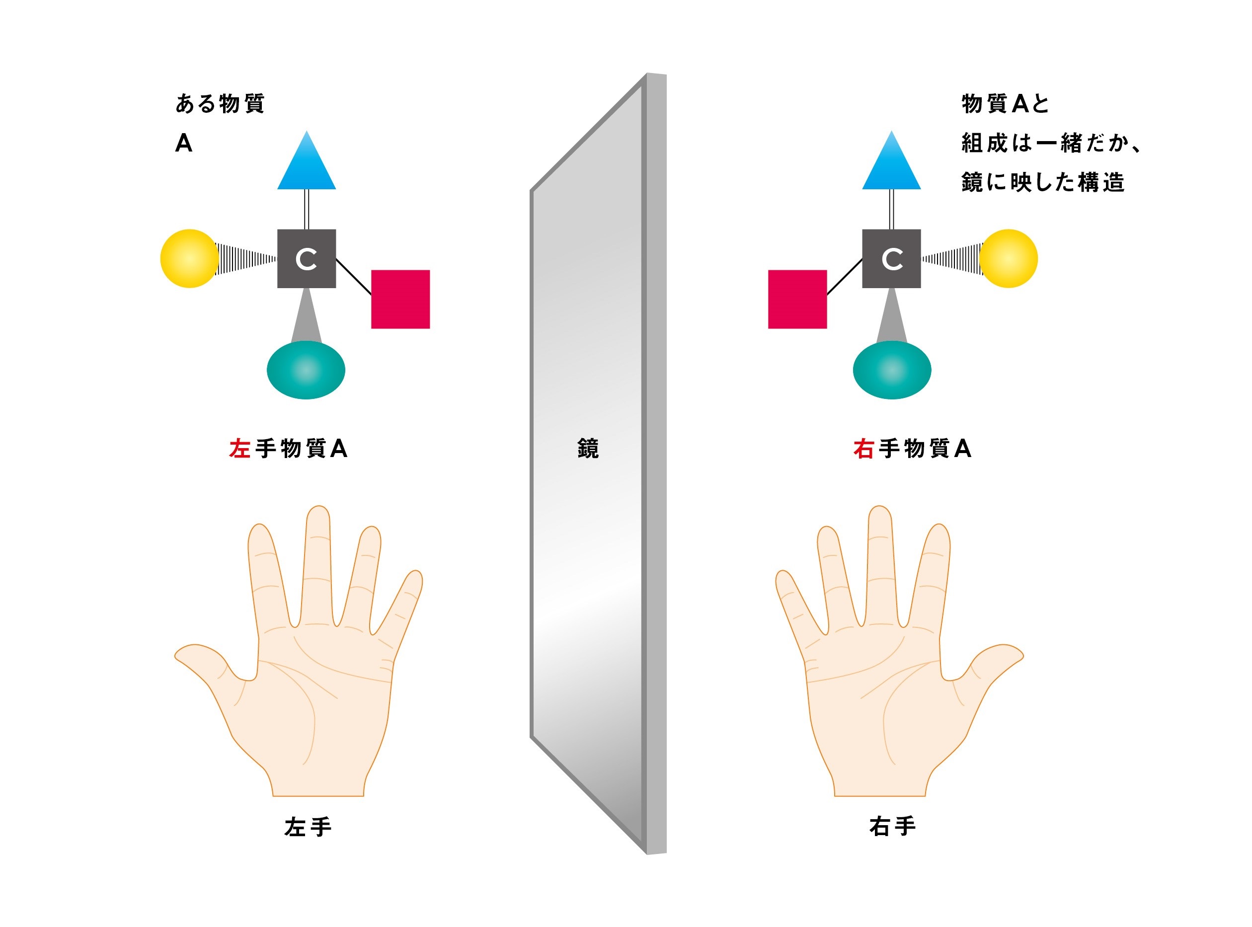 図1:左手物質と右手物質 CREDIT: 東京大学. 図1:左手物質と右手物質 CREDIT: 東京大学.