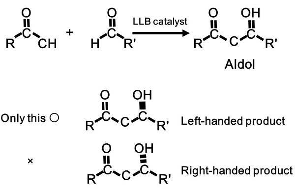 Figure 3: Direct catalytic asymmetric aldol reaction © The University of Tokyo. Figure 3: Direct catalytic asymmetric aldol reaction © The University of Tokyo.
